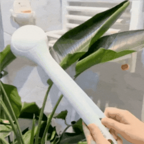 Brosse de bain électrique FamiliaTrea™